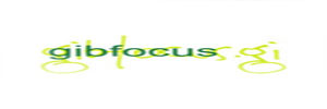 Gibfocus